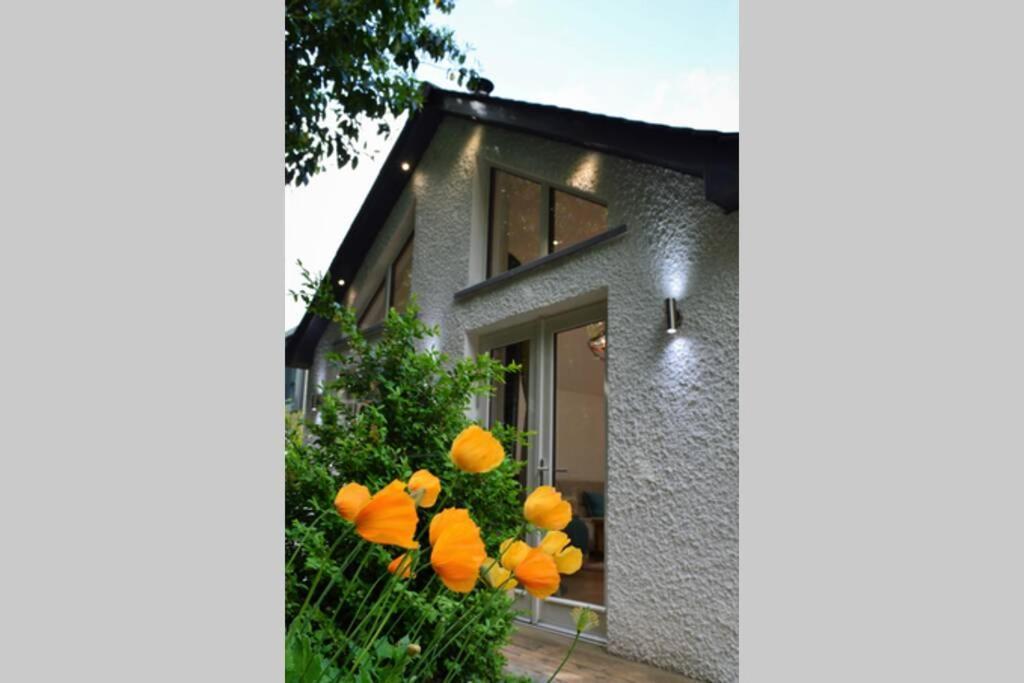 إينفيرنيس Ness Lodge المظهر الخارجي الصورة